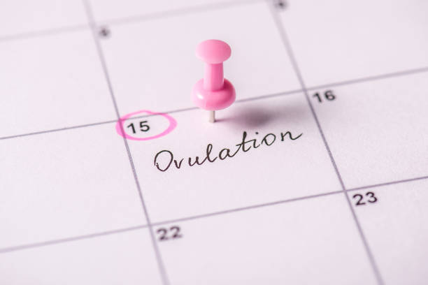 Ang sintomas ng Ovulation